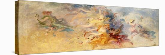 Stretched Canvas Print, , large