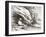 Jules Crevaux-null-Framed Giclee Print