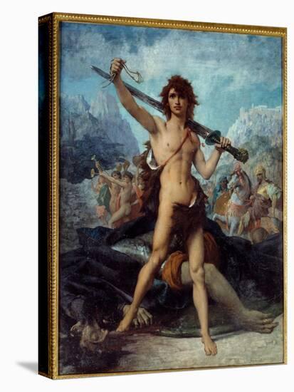 Stretched Canvas Print, , large