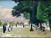 The Trocadero Gardens and the Rhinoceros by Jacquemart-Jules Ernest Renoux-Giclee Print