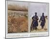 Photographic Print