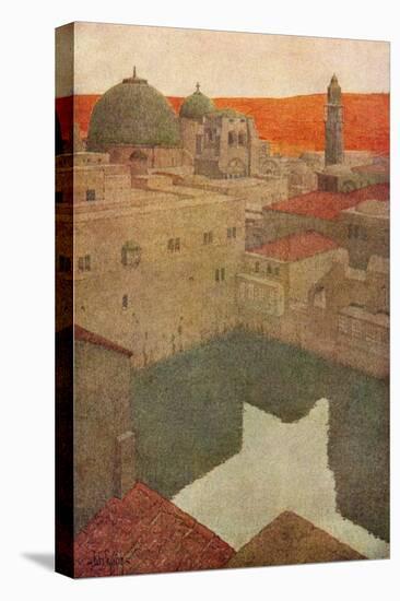 Stretched Canvas Print, , large