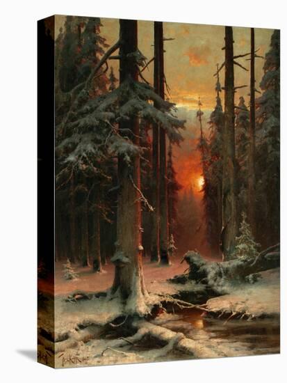 Stretched Canvas Print, , large
