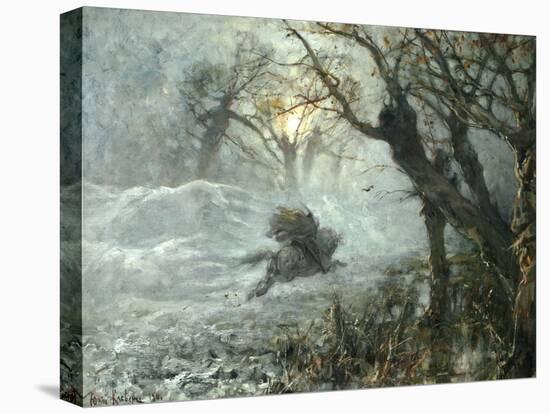 Stretched Canvas Print, , large