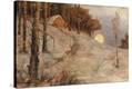 Stretched Canvas Print