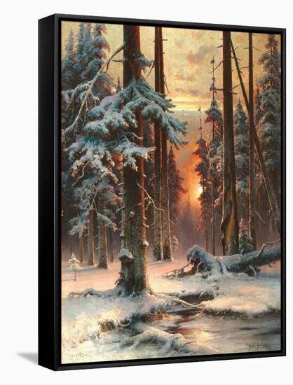 Stretched Canvas Print, , large