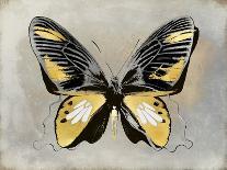 Butterfly Study I-Julia Bosco-Art Print