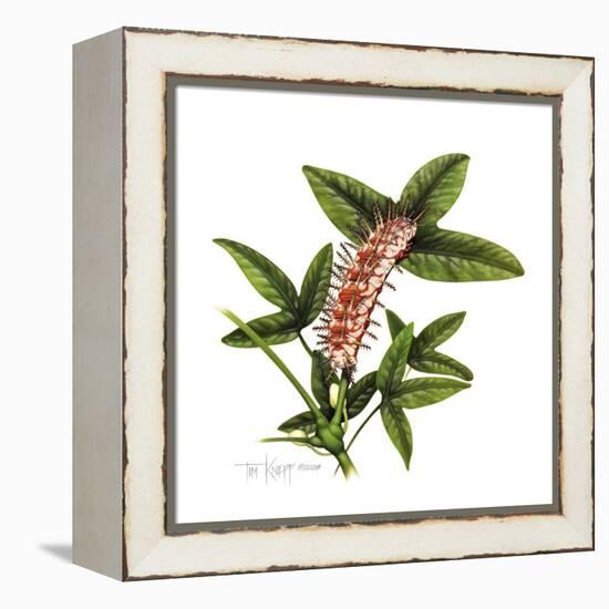 Julia Caterpillar-Tim Knepp-Framed Premier Image Canvas