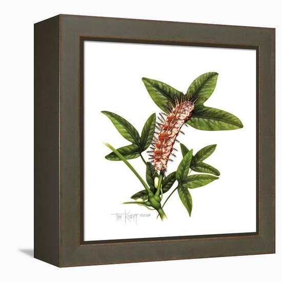 Julia Caterpillar-Tim Knepp-Framed Premier Image Canvas