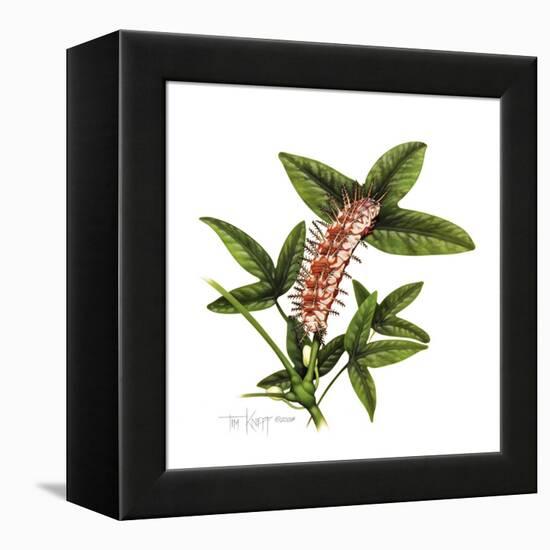 Julia Caterpillar-Tim Knepp-Framed Premier Image Canvas