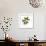 Julia Caterpillar-Tim Knepp-Framed Giclee Print displayed on a wall