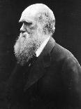 Charles Darwin, C.1870 (B/W Photo)-Julia Margaret Cameron-Giclee Print