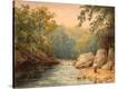 Stretched Canvas Print
