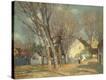 Stretched Canvas Print