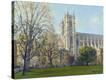 Stretched Canvas Print