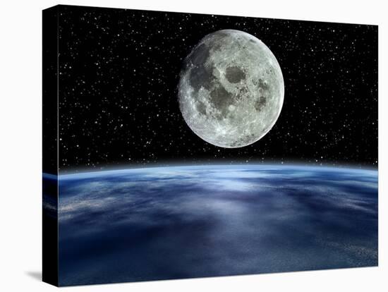 Stretched Canvas Print, , large