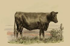 Antique Cow I-Julian Bien-Framed Art Print