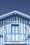 Detail of Traditional Painted Ceramic Azulejos Tiles and Doorway, Ilhavo, Beira Litoral, Portugal-Julian Castle-Photo