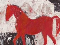 Stallion Strut 2-Julian Dimitrov-Framed Art Print