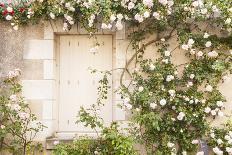 Roses Cover a House in the Village of Chedigny, Indre-Et-Loire, Centre, France, Europe-Julian Elliott-Photographic Print