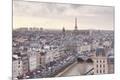 Photographic Print
