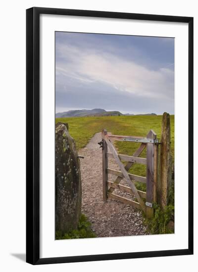 Photographic Print, , large