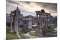 Premium Photographic Print