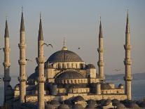 Seagulls Flock Above the Golden Horn, Istanbul, with the Galata Tower in the Background-Julian Love-Photographic Print