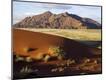 Photographic Print