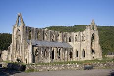 Late afternoon view of South and West sides of Tintern Abbey, Monmouthshire, Wales-Julian Pottage-Photographic Print
