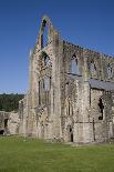Late afternoon view of South and West sides of Tintern Abbey, Monmouthshire, Wales-Julian Pottage-Photographic Print