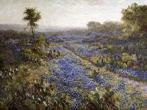 Early Spring Bluebonnets and Mesquite, 1919 (Oil on Wood)-Julian Onderdonk-Giclee Print