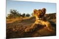 Premium Photographic Print