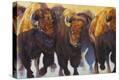 Stretched Canvas Print