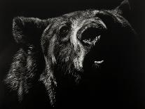 Scratchboard Wolf I-Julie Chapman-Art Print