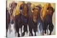 Stretched Canvas Print