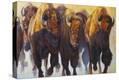 Stretched Canvas Print
