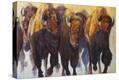 Stretched Canvas Print