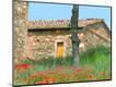 Photographic Print