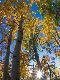 Premium Photographic Print