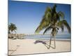 Premium Photographic Print