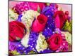 Premium Photographic Print