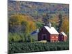 Photographic Print