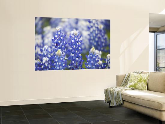 Giant Art Print, , large