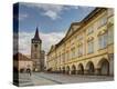 Stretched Canvas Print
