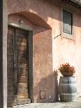 Italy, Tuscany. Vineyards and Olive Trees in Autumn by a House-Julie Eggers-Photographic Print