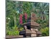 Premium Photographic Print