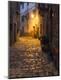 Photographic Print