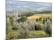 Premium Photographic Print
