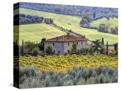 CANVAS Tuscan Countryside Art print POSTER